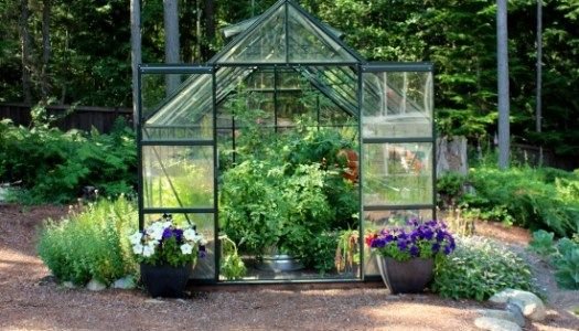 ShelterLogic Backyard Greenhouse 