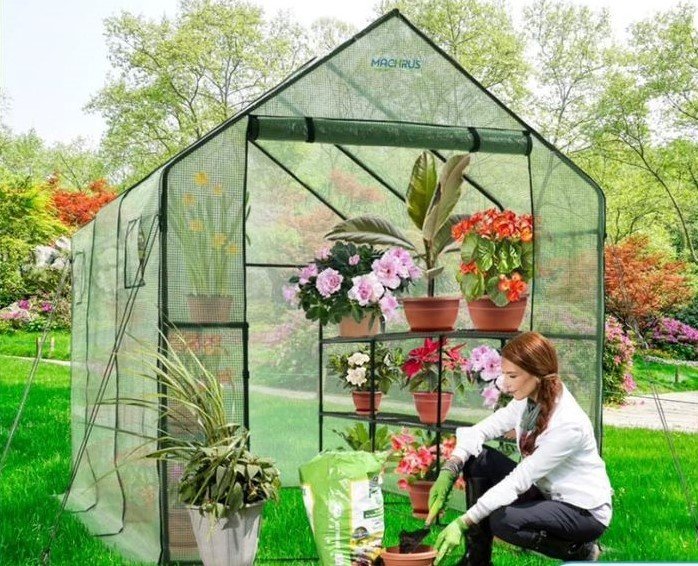 ShelterLogic Backyard Greenhouse 