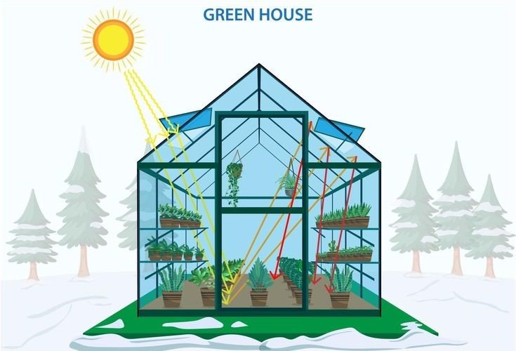 portable greenhouses for backyard