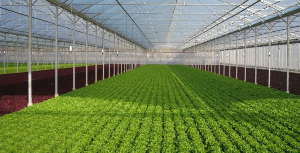 commercial greenhouse kits