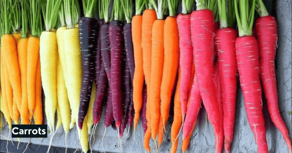 tips for growing vegetables in a greenhouse